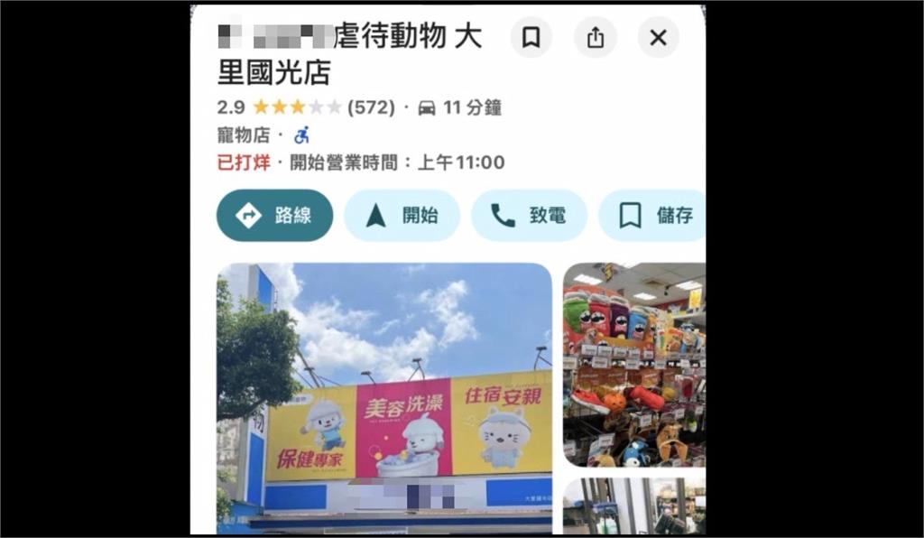 不人道！連鎖寵物店爆虐待動物　動保處介入依法懲處
