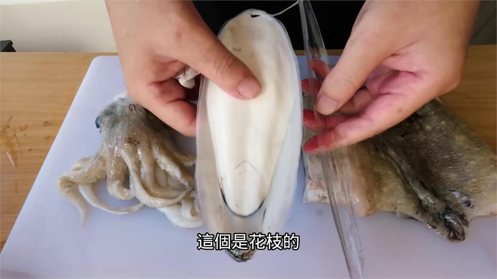 「鎖管、花枝、軟絲」傻傻分不清?專家實際解剖:看背殼