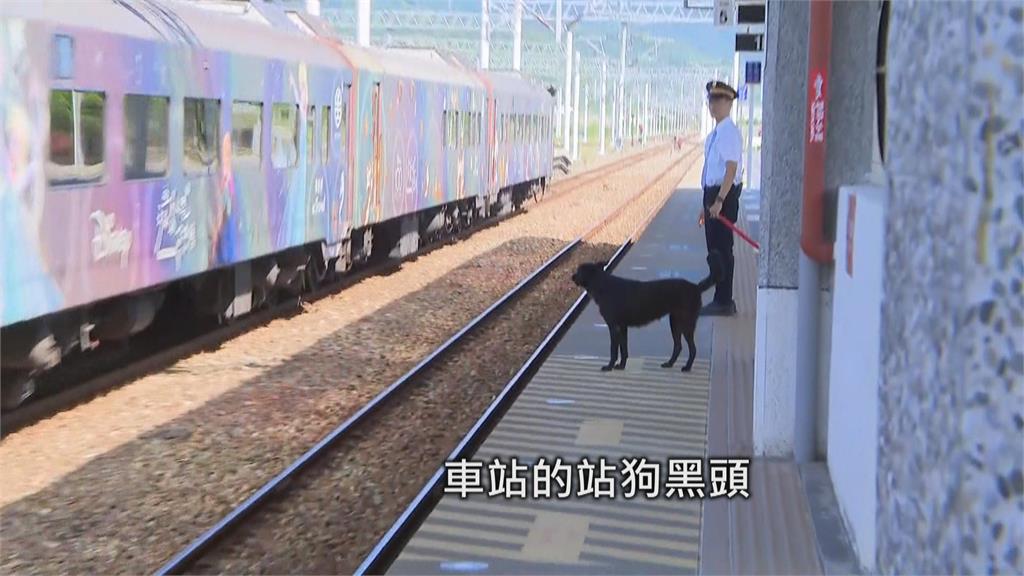 平均日運量僅2人! 加祿車站收入來自「軍運列車」