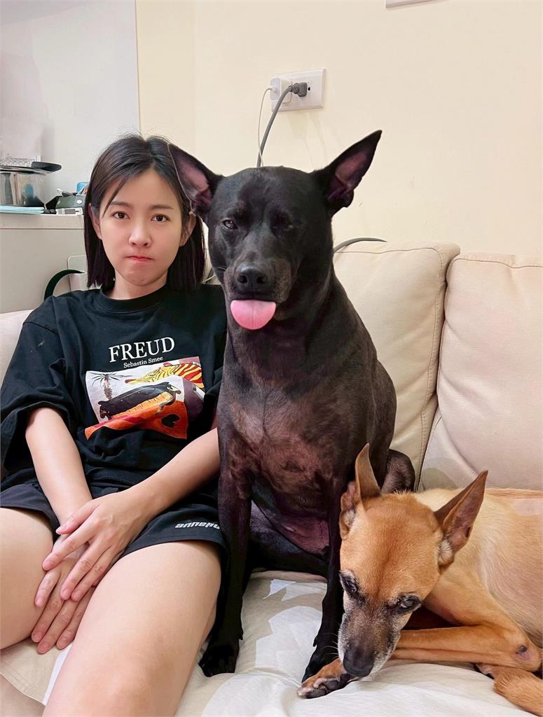 米可白遭酸「蹭動物流量」撈過界!本人親上陣「打臉1句」網挺翻:你很棒