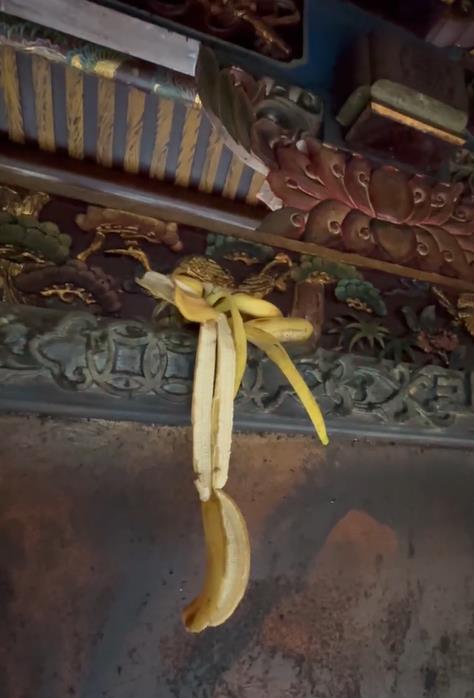 快新聞/猴子大鬧天宮!「對壽桃虎視眈眈」躲屋簷、偷供品 吃完還亂丟香蕉皮