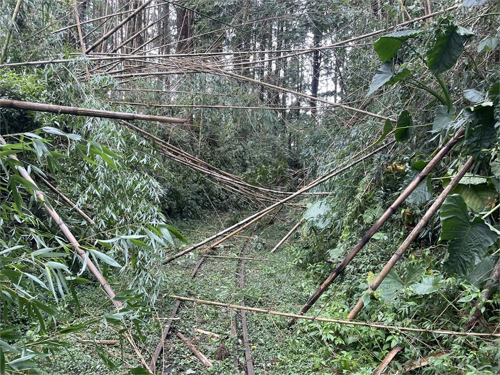 凱米颱風釀樹倒+土石崩塌 阿里山林鐵全線8月底前暫停營運