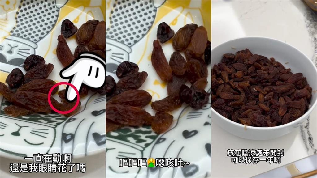 徐薇老師吃果乾驚見「白色蠕動」!整包倒出「全是蟲」她嚇瘋:救命