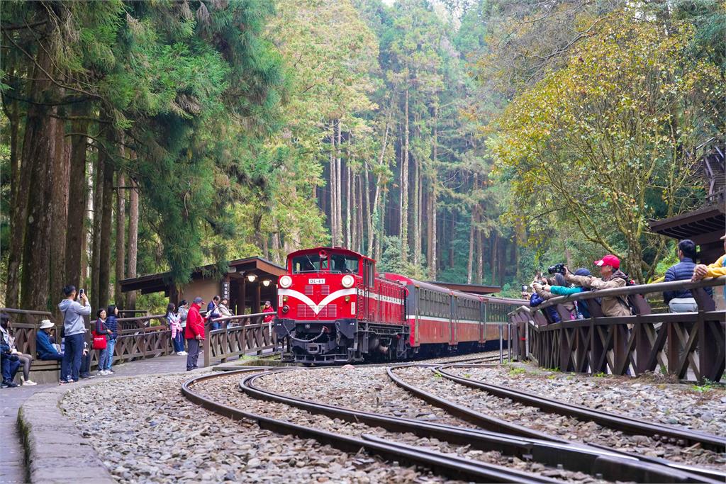 中秋連假免開車遊阿里山,享受兩天一夜山林之旅