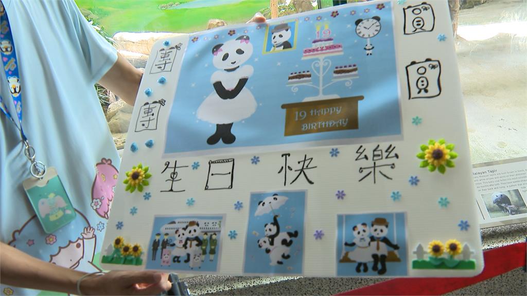 賀!大貓熊圓圓19歲了 園方送特製蛋糕大快朵頤