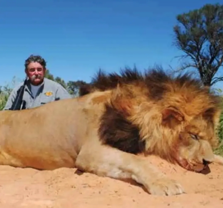 75歲百萬富翁花127萬狩獵「變獵物」！遭5母象埋伏圍攻「狂踩慘死」