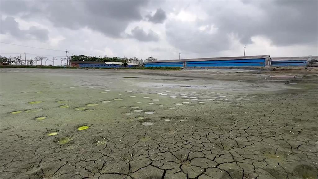 台南將軍區漁港有「藍眼淚」 學甲區乾涸魚塭長出「綠眼睛」?