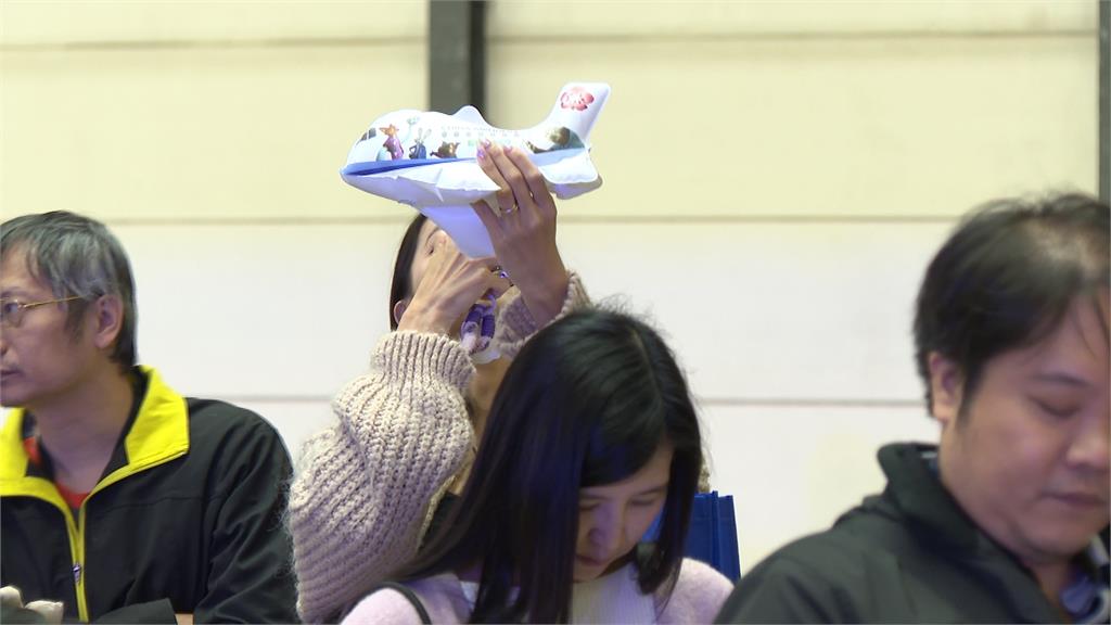 國籍航空首度跟迪士尼合作　動物方城市塗裝飛上天