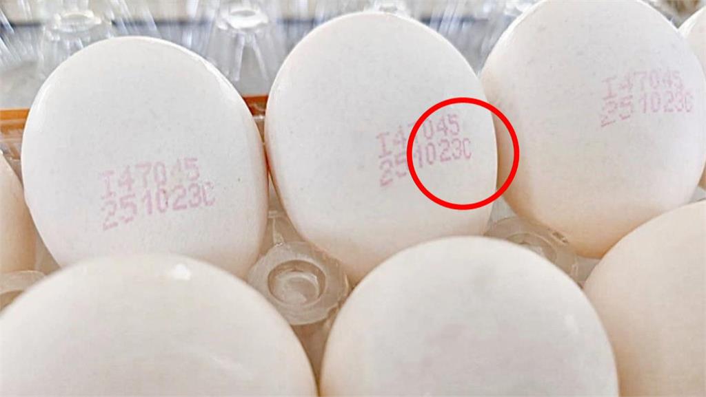 異言堂(影）／ 台灣人每人每年吃355顆蛋　你吃的雞蛋安全嗎? 