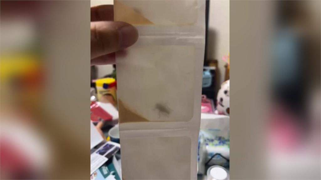超噁心!藥包驚見活蟑螂 家長傻眼喊:環境有多髒?