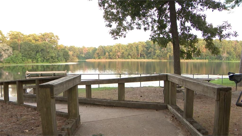 德州州立公園童軍團露營 湖裡玩水赫見四米大鱷 眾人火速游泳逃生