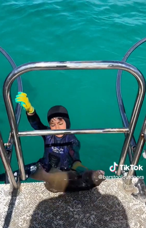 8歲男童浮潛完爬上船　水中突竄鯊魚「狠咬胸口」過程全被拍