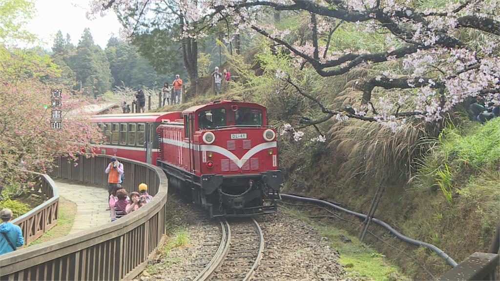 恐嚇信揚言5/1阿里山殺人放火 境外IP警不排除與機場恐嚇案同人