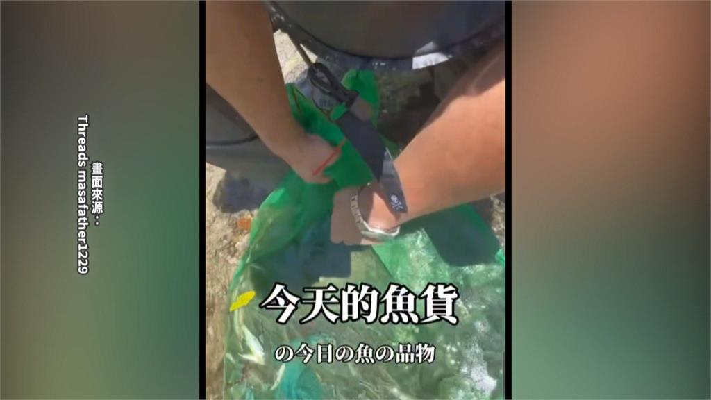 宜蘭南澳遊客「撿鹿骨」被檢舉　農業處：最高可罰五萬元