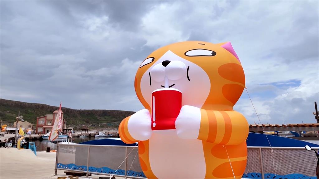 星期二也不想上班！「白爛貓」翹班去衝浪笑翻百萬人