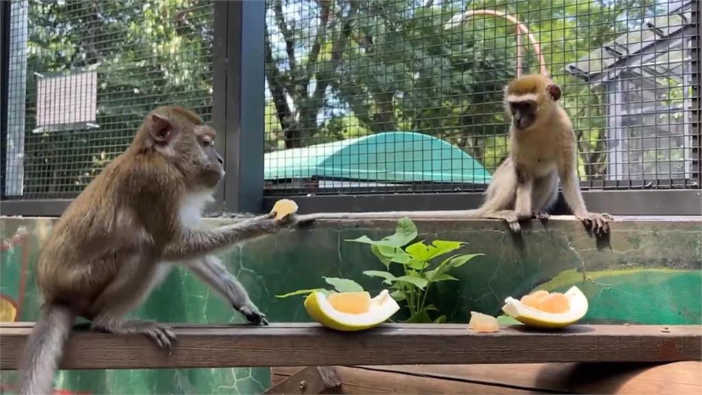 壽山動物園辦中秋野營趴　動物嗨嗑澎派烤肉大餐