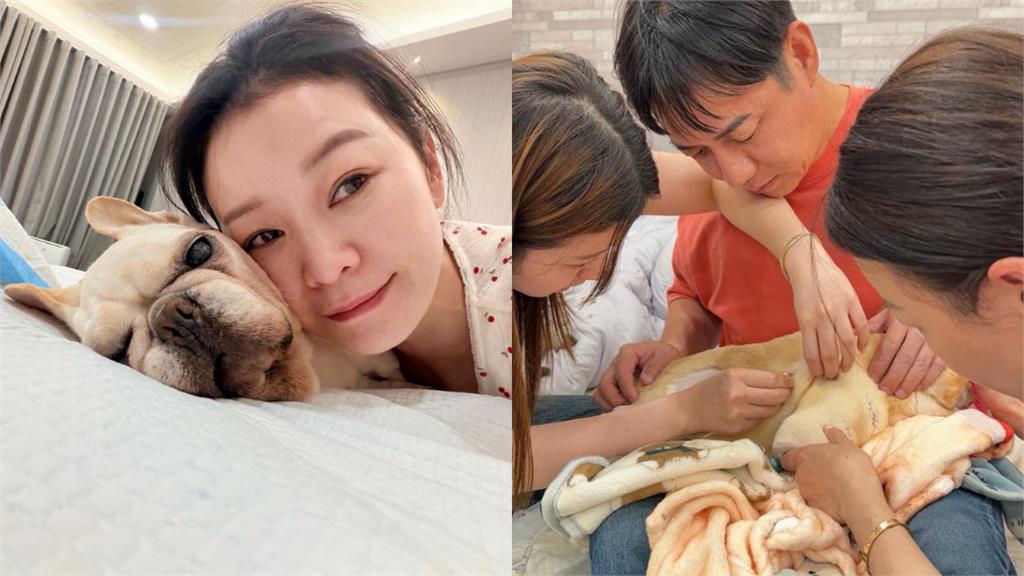 陳隨意「摯愛突病逝」才離開台灣！含淚「視訊道別」悲傷畫面曝：好好投胎