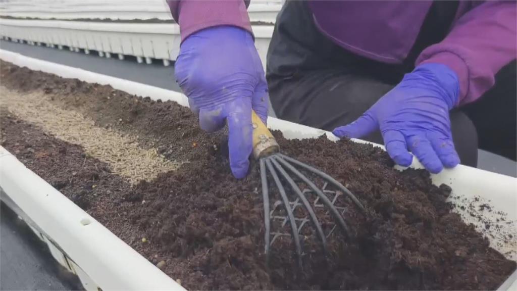 工欲善其事必先利其器! 草莓園新法寶「翻土機」效率翻倍