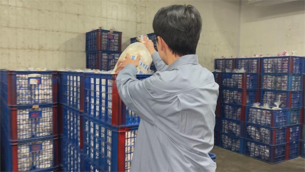 最帥焦點！10年空少返鄉從農　出席傑出農民表揚大會