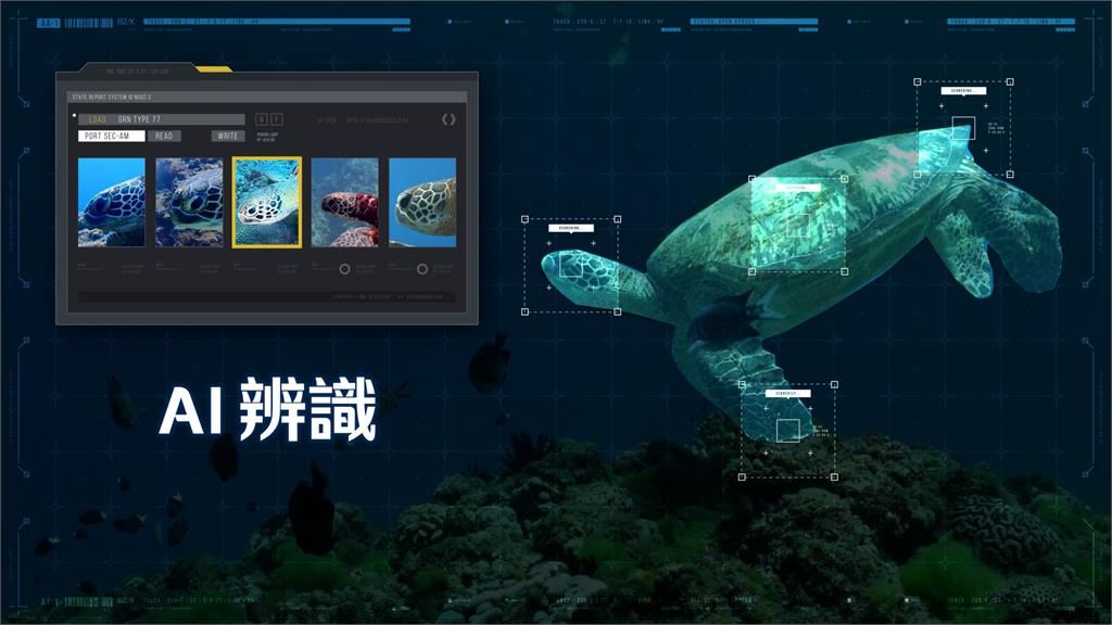快告訴禹英禑！海底鯨豚現身國立海科館「5G沉浸互動體驗特展」