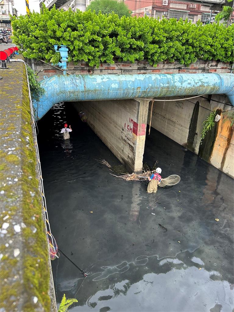 快新聞／3名大男人抓1隻鴨！大雨受困樹林潭底溝　花兩小時成功救出安置