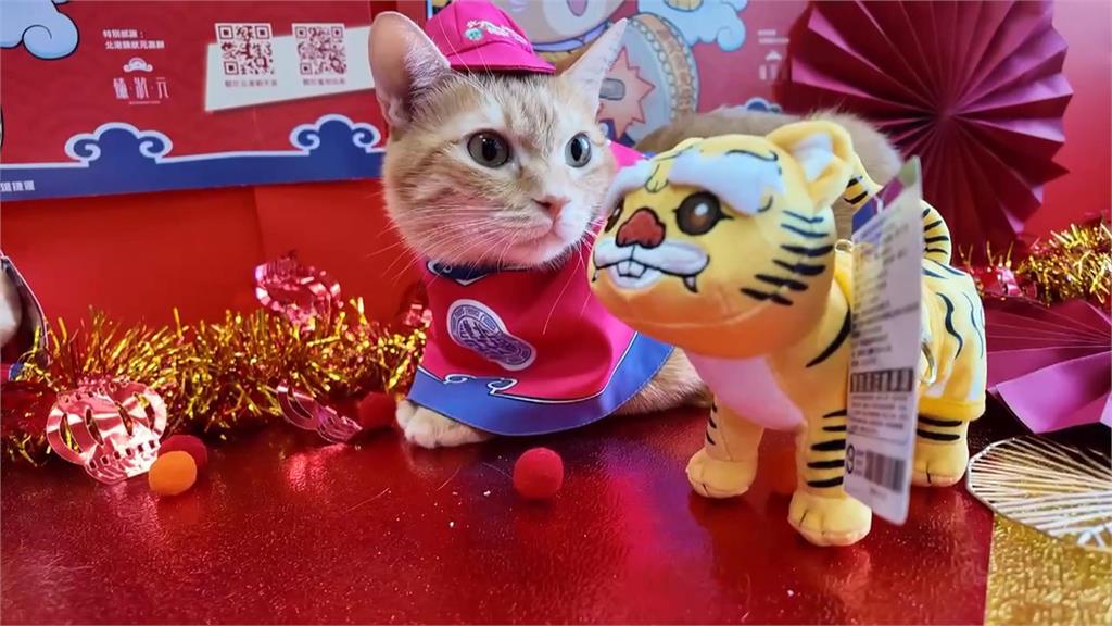 高雄捷運攜手北港朝天宮　蜜柑站長「虎袍加身」亮相