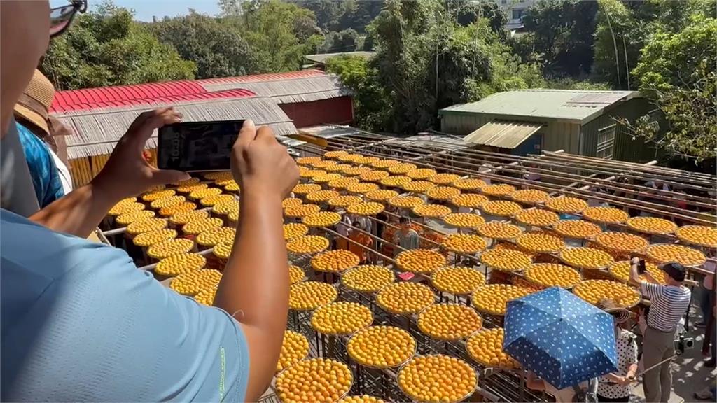 竹縣新埔「柿餅海」消失 一半棚架曬的都是「寂寞」