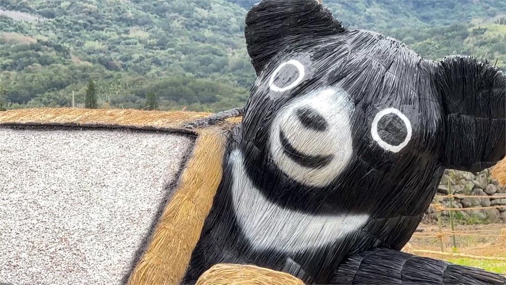 台灣黑熊、鯊魚、猩猩坐在稻田上　富里農民巧思！稻田變身藝術展場