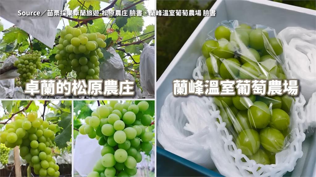 高價卻買到盜版?一串麝香葡萄破千元 他曝:國產就有
