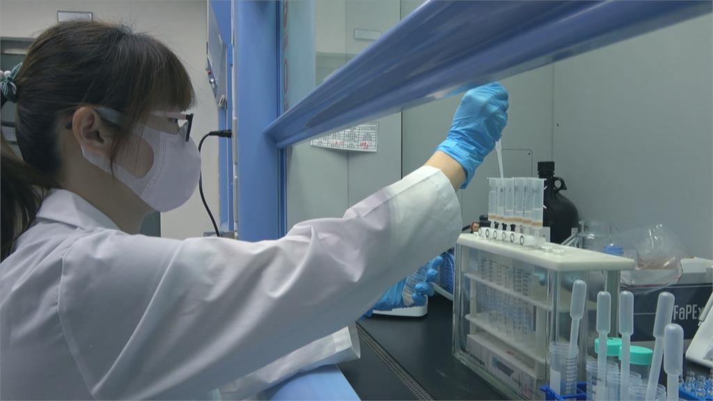 內銷外銷雙管齊下! 農委會推動「三箭救石斑」