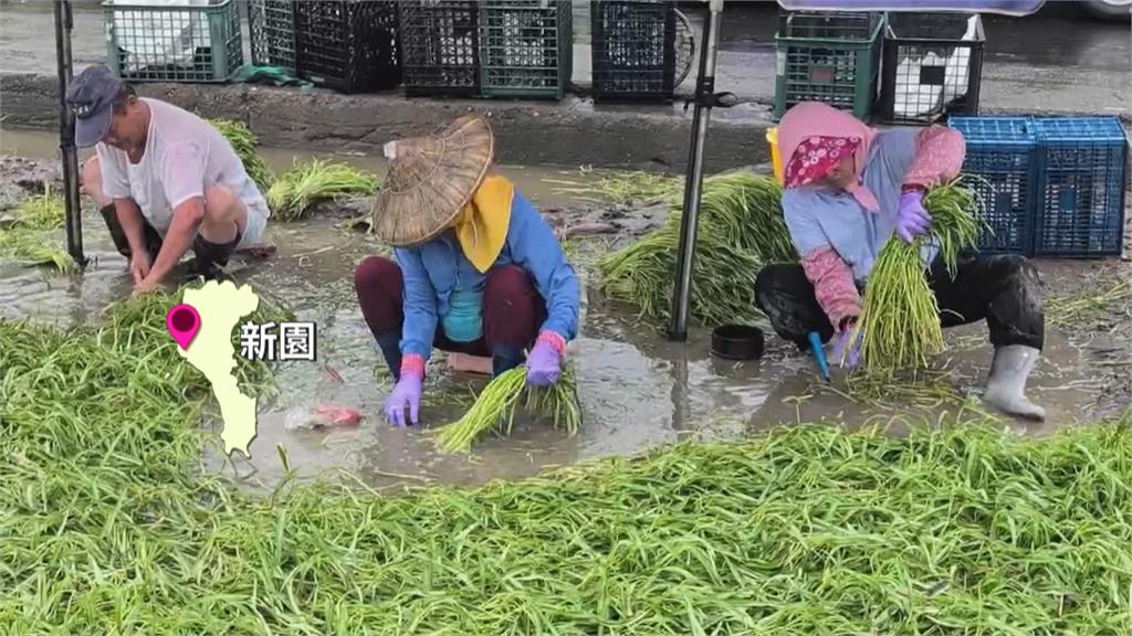 屏東連日強降雨又逢大潮！　老翁騎車誤闖積水路段險遭沖走