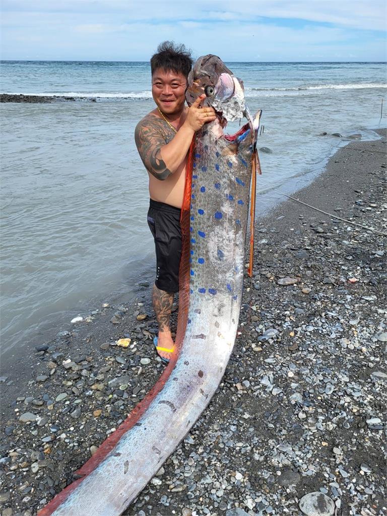 快新聞／台東太麻里釣到「6公尺130公斤」地震魚　他嗨喊：真的過癮