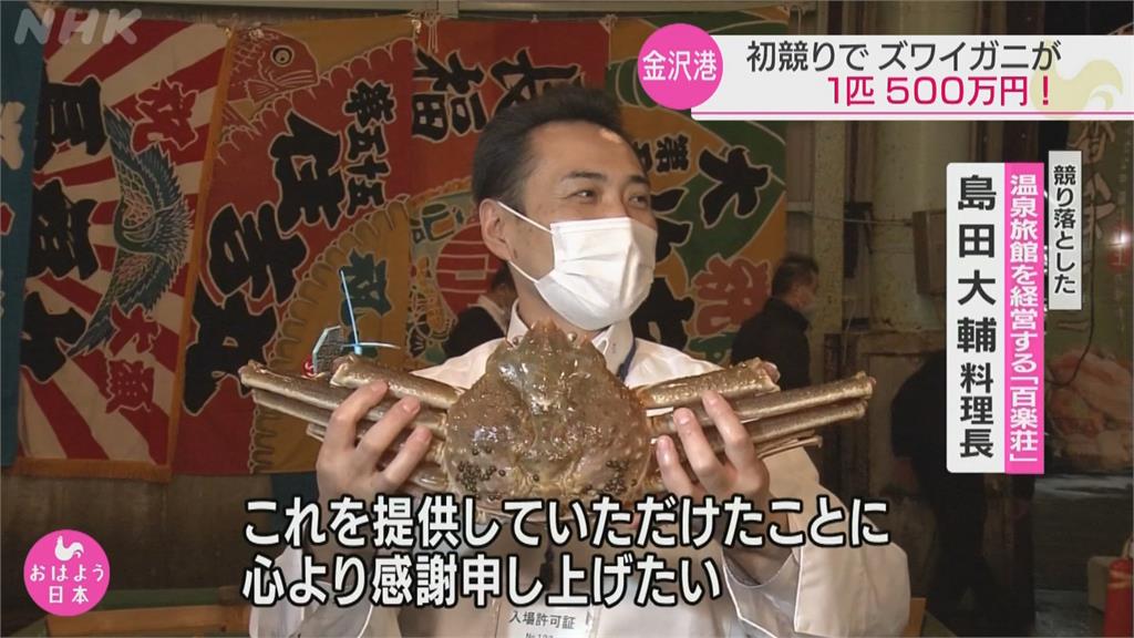 日本松葉蟹捕撈季開跑　編號第1號「輝松葉蟹」拍出500萬日圓天價