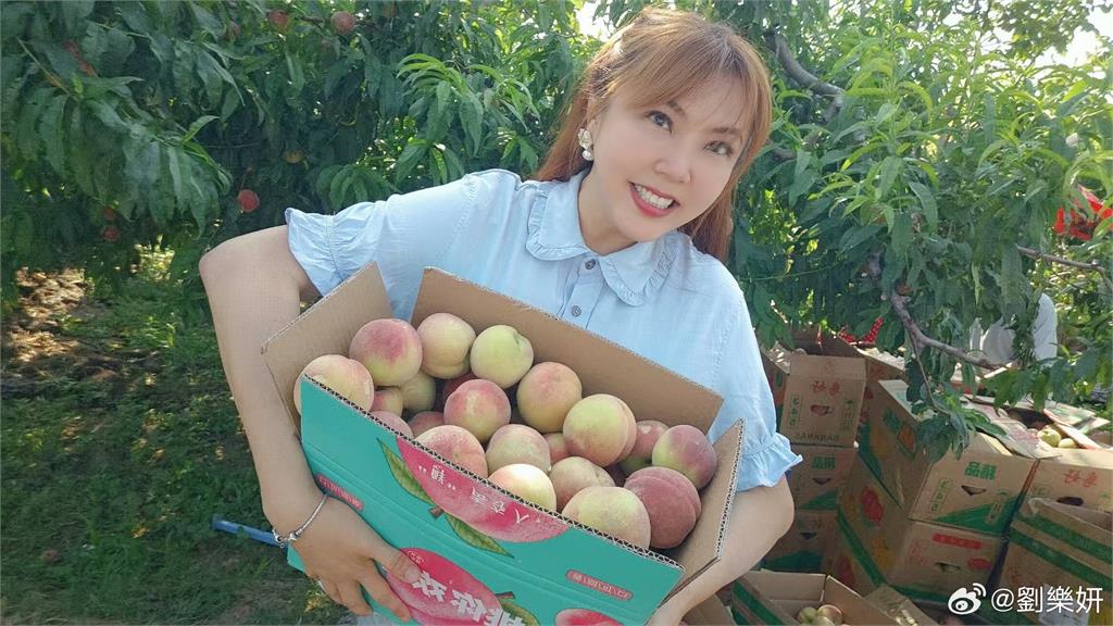劉樂妍
