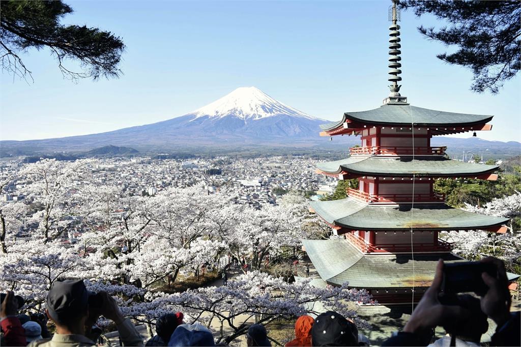 中資飯店嫌看不到富士山！竟直接砍鄰居私有樹木
