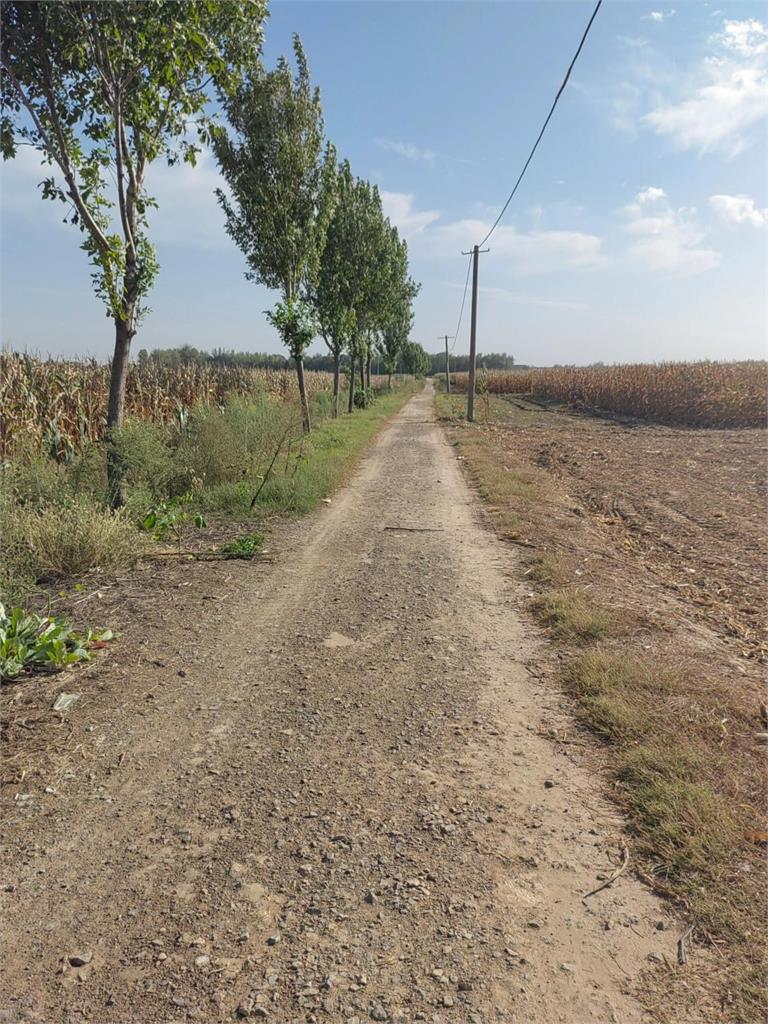 為失智父親祈願吃素終生 她故事感動無數人:再難的日子,也能長出希望