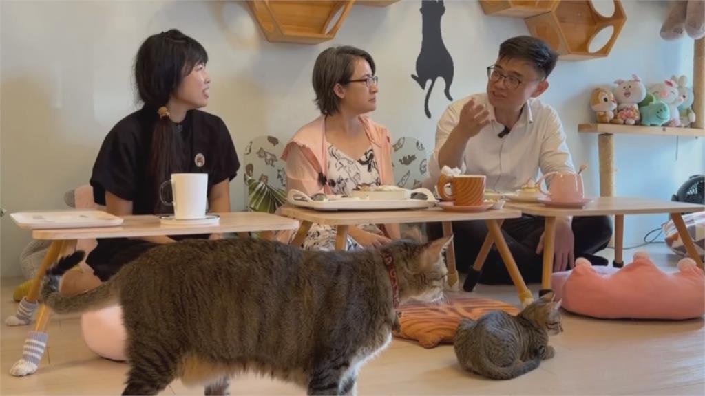 蕭美琴連3天助陣！　賴瑞隆推「人寵共好」政見造福毛孩家庭