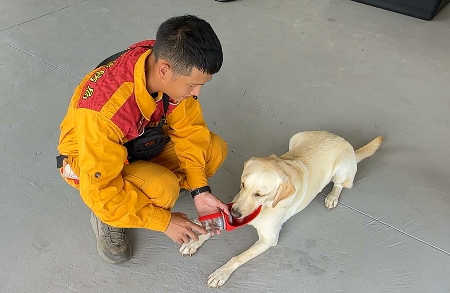 花蓮強震搜救犬也成受災戶　房舍受損搬新家適應良好