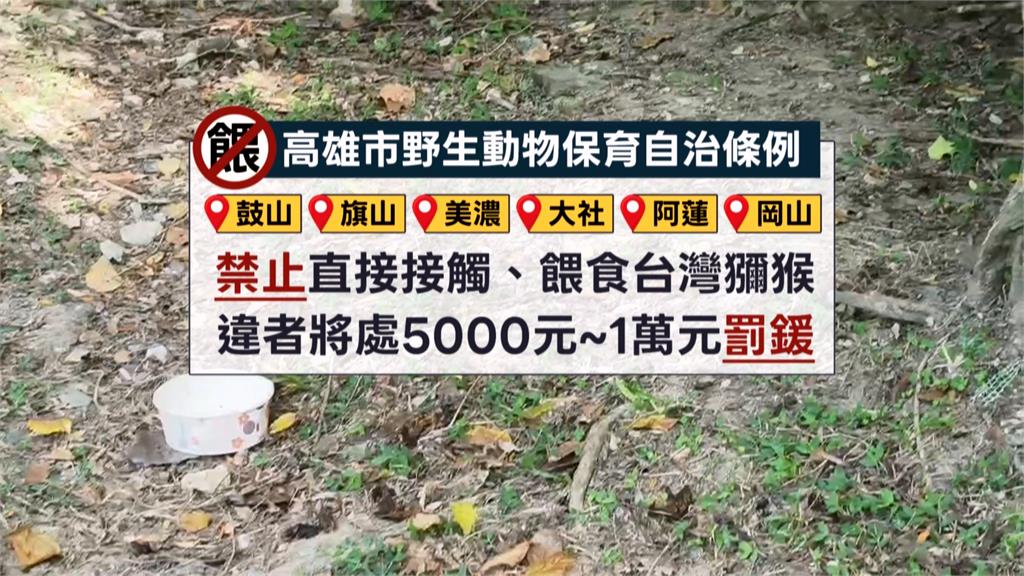 民眾刻意餵養「害猴群暴動」引撻伐　農業局：最高可罰1萬元