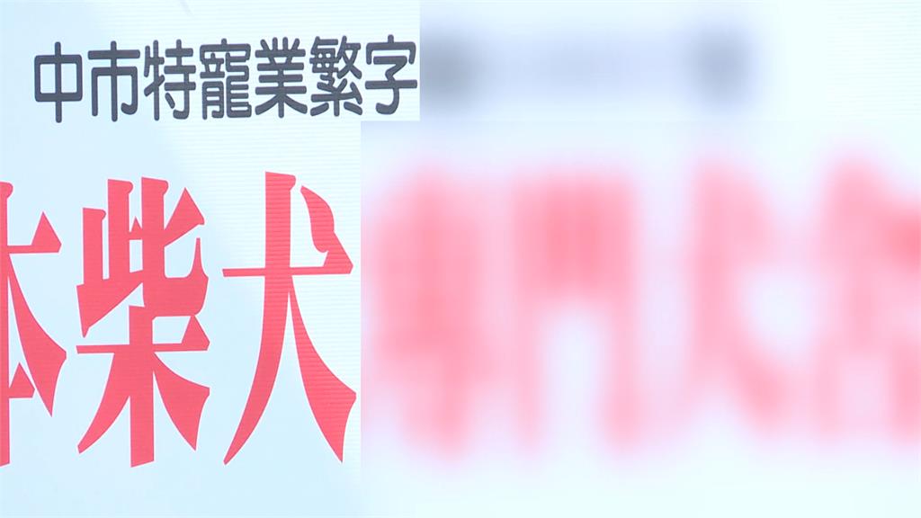 台中動保處一天暴增35隻柴犬 來源全部來自這「一處」