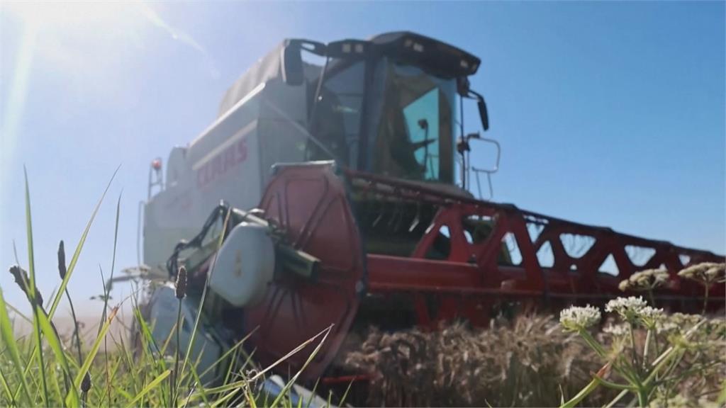 八月罕見出現大風雨　法國北部燕麥、小麥農損慘