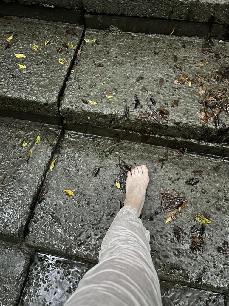 丹娜絲才剛走「赤腳大姐雨中爬山」竟是蔡壁如!網見1動作急警告:注意安全