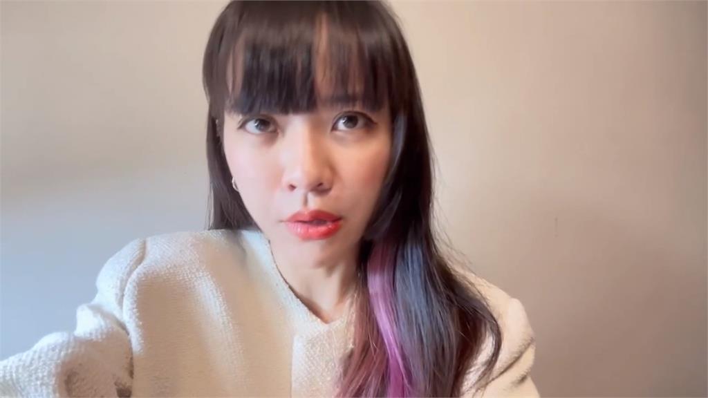 遭控曾說「代孕是覬覦別人子宮」 黃淑英:請陳昭姿拿出證據