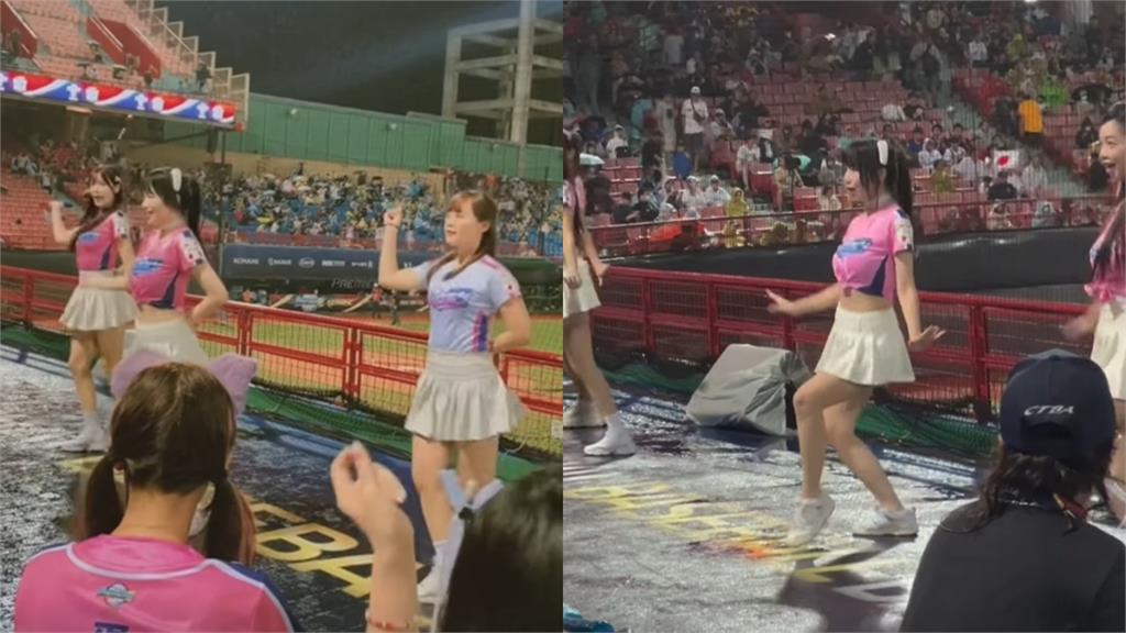 12強賽/台灣啦啦隊「全身濕」仍雨中熱舞!敬業畫面曝…感動一票日本球迷