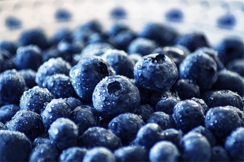 「森林寶石」藍莓表面一層白粉能吃嗎？專家曝「天然保護蠟」：別洗掉