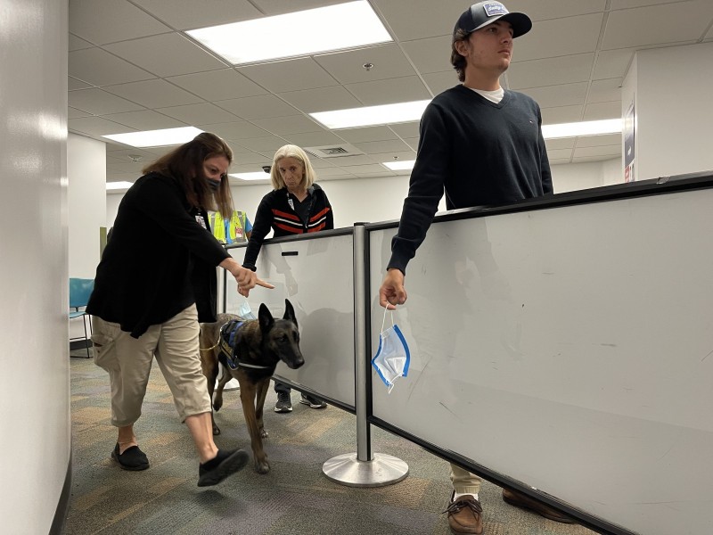 美國機場派出嗅探犬部隊偵測「武肺病毒味道」　準確率高達99%