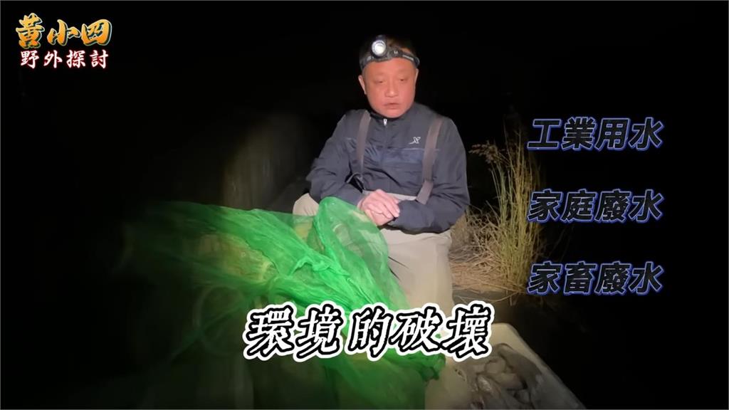 「苗栗毛蟹南投野放」不被看好 野外達人復育14年驗收成果超驚人