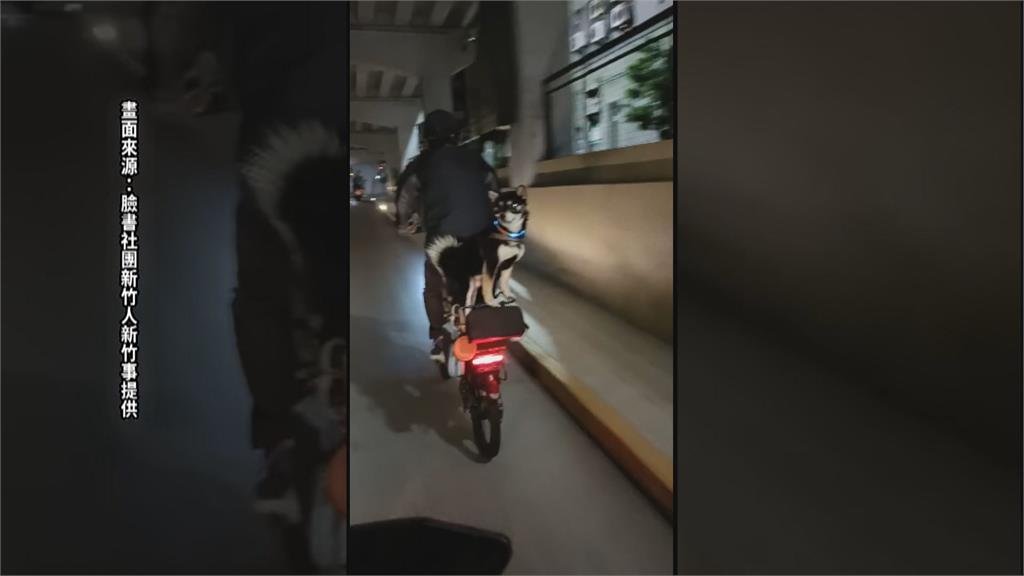 阿柴搭電動車後座籃兜風 網友直呼危險:要叫狗抱緊?