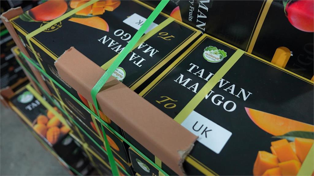 異言堂／台灣精品芒果勇闖歐洲！拉法葉百貨每公斤飆3600元 台歐5年談判成功關鍵