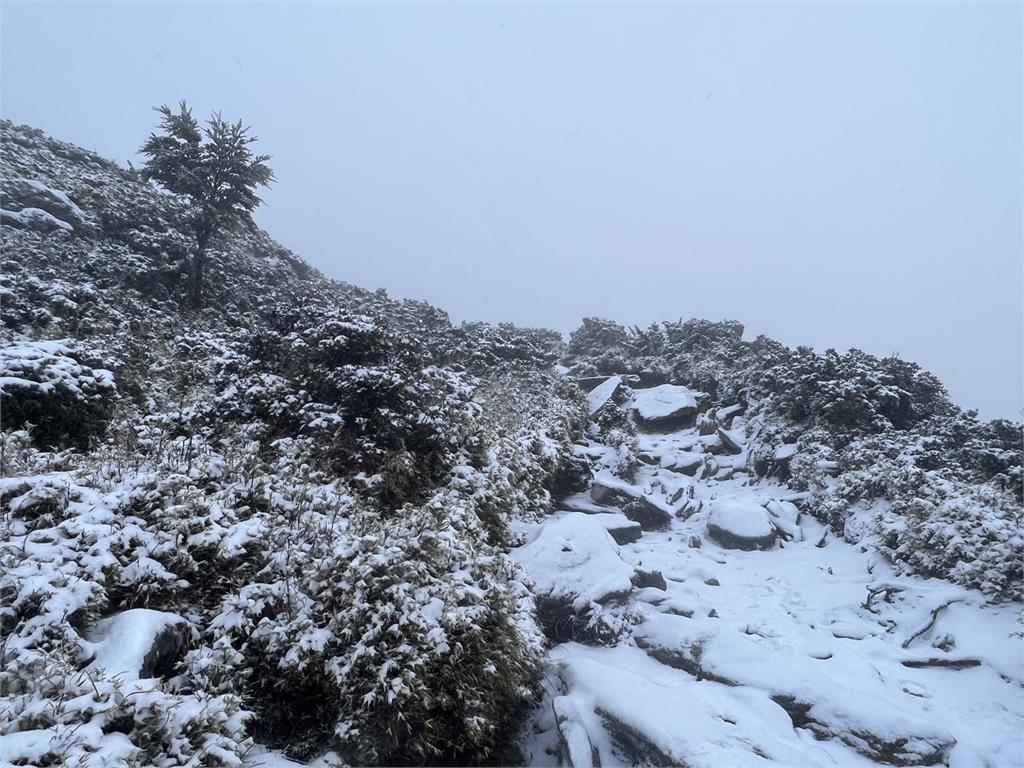 快新聞／嘉明湖今年第1場雪來了！山屋灑上厚厚糖霜　絕美銀白世界曝